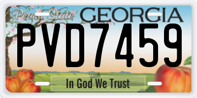 GA license plate PVD7459