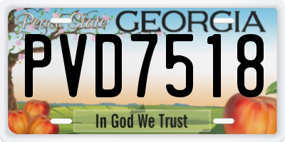 GA license plate PVD7518