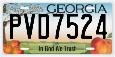 GA license plate PVD7524