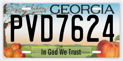 GA license plate PVD7624