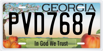 GA license plate PVD7687