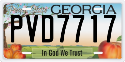 GA license plate PVD7717