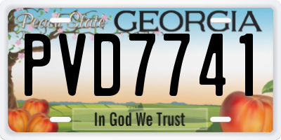 GA license plate PVD7741