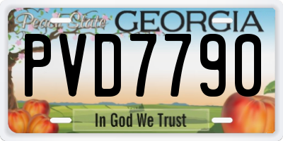 GA license plate PVD7790