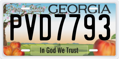 GA license plate PVD7793