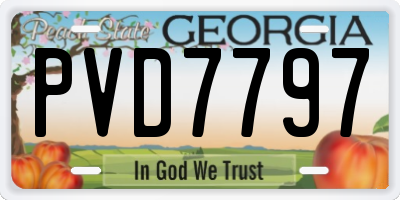 GA license plate PVD7797