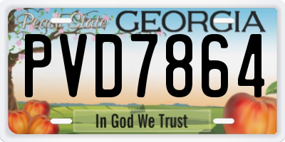 GA license plate PVD7864