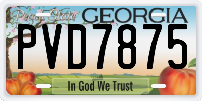 GA license plate PVD7875