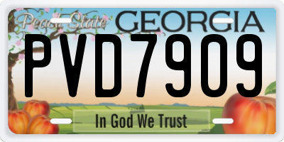 GA license plate PVD7909