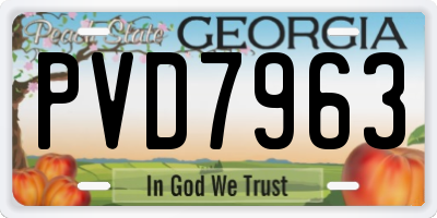 GA license plate PVD7963