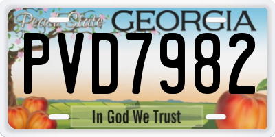 GA license plate PVD7982