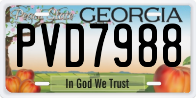 GA license plate PVD7988