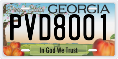 GA license plate PVD8001