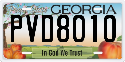 GA license plate PVD8010