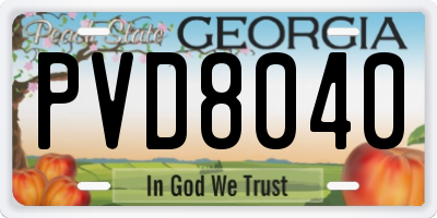 GA license plate PVD8040