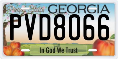 GA license plate PVD8066