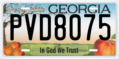 GA license plate PVD8075