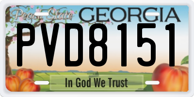 GA license plate PVD8151