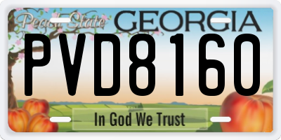 GA license plate PVD8160