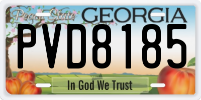 GA license plate PVD8185