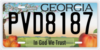 GA license plate PVD8187
