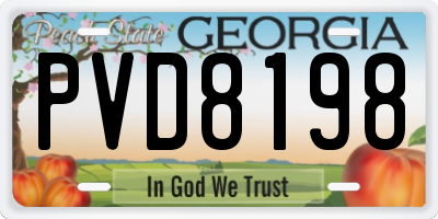 GA license plate PVD8198