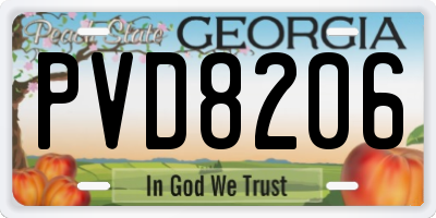 GA license plate PVD8206