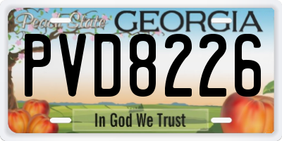 GA license plate PVD8226