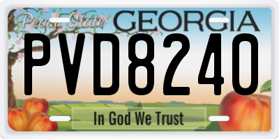 GA license plate PVD8240