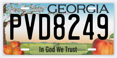 GA license plate PVD8249