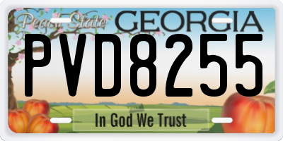 GA license plate PVD8255