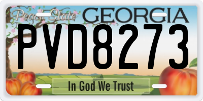 GA license plate PVD8273