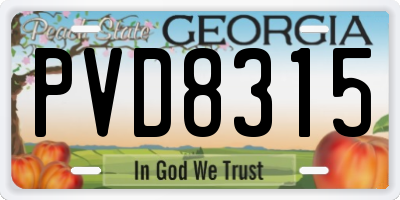 GA license plate PVD8315