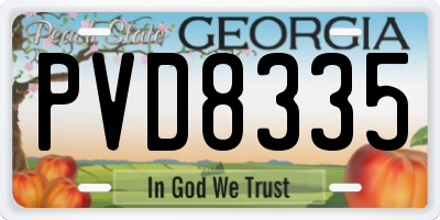 GA license plate PVD8335
