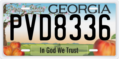 GA license plate PVD8336