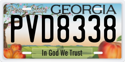 GA license plate PVD8338
