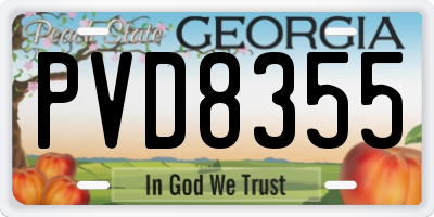 GA license plate PVD8355