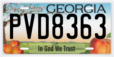 GA license plate PVD8363