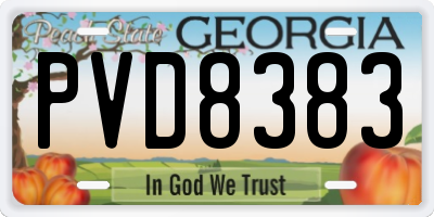 GA license plate PVD8383