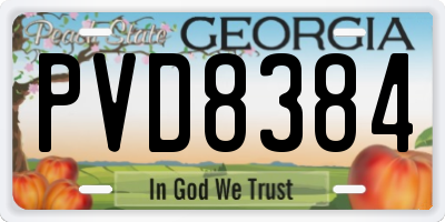 GA license plate PVD8384