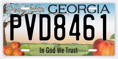 GA license plate PVD8461