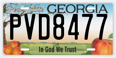 GA license plate PVD8477