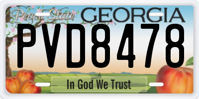 GA license plate PVD8478