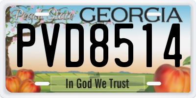 GA license plate PVD8514