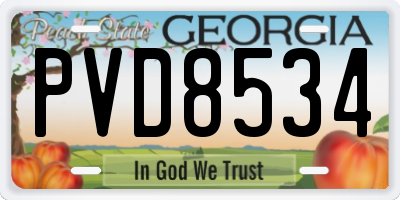 GA license plate PVD8534