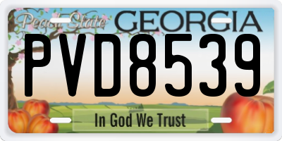 GA license plate PVD8539