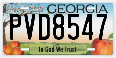 GA license plate PVD8547