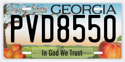 GA license plate PVD8550