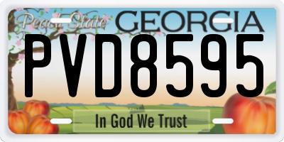 GA license plate PVD8595