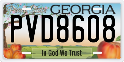 GA license plate PVD8608